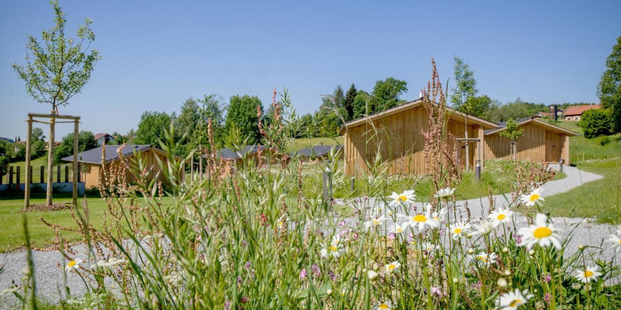 Naturhotel & Chalets Euler Neuschönau Zewnętrze zdjęcie